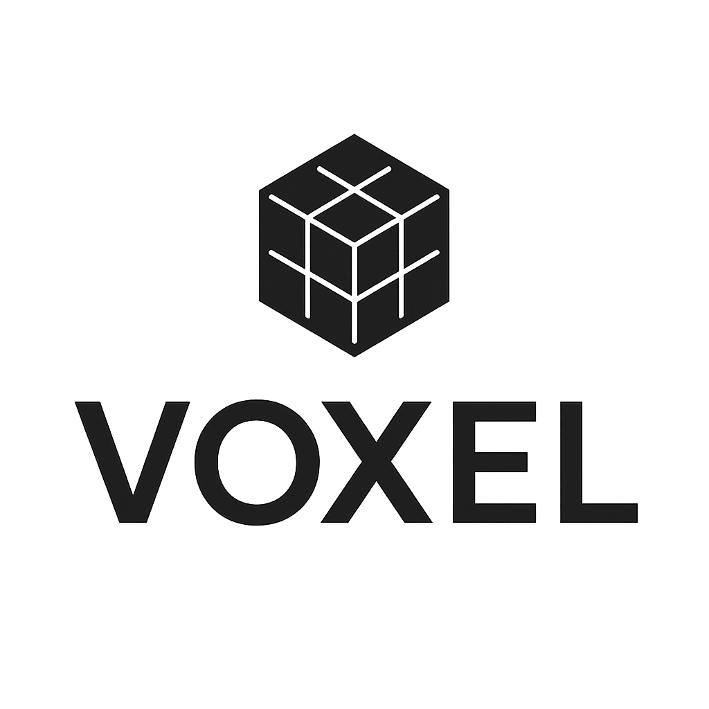 VoxelTrip
